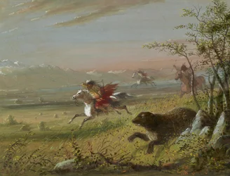 O Urso-pardo