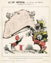 A Carga (1870), número 6, Satirical in Colour