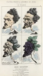 Le Raisin: Desenho animado sobre Henri Rochefort - doente. de 02/09/1871 em " Flores, Frutas e Legumes do Dia".
