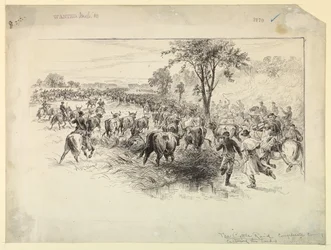 O ataque de gado pela cavalaria confederada