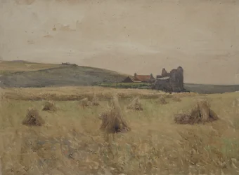 Campo de trigo