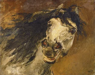 Estudo da cabeça de um cavalo