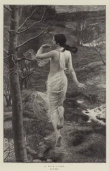 Uma ninfa da madeira