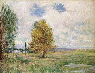 Planície de Veneux-Nadon, 1881