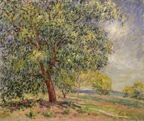 Noz em Sablons na primavera; Noyers aux Sablons, Primptemps, 1885