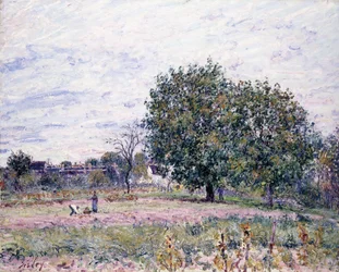 Nozes, Efeito do Sol Poente - Primeiro Dia de Outubro de 1882