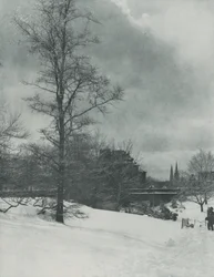 Um céu de inverno — Central Park