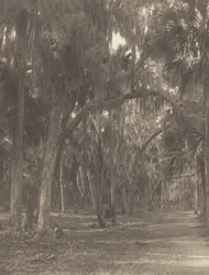 Em Rockledge, Flórida