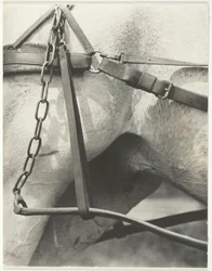 Equivalente, América Espiritual, 1923.