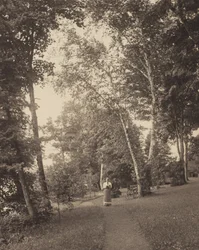 Caminho de Hedwig, Oaklawn, Lago George