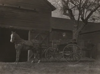 Cavalo e carruagem