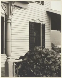 Casa e folhas de uva