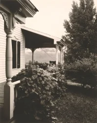 Casa e folhas de uva