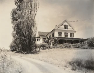 Casa e choupos, Lake George