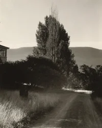 Casa e choupos, lago George