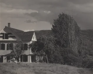 Casa e choupos, Lake George