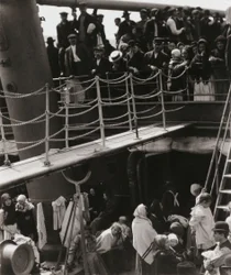 O Steerage