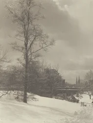 Inverno (Central Park)