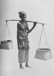 Pingo Carrier, c1890, 1910