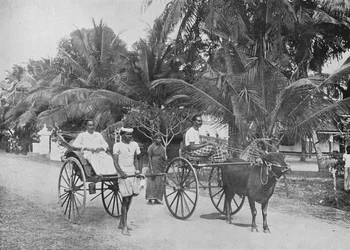 Rickshaw e Racing Hackery, c1890, 1910