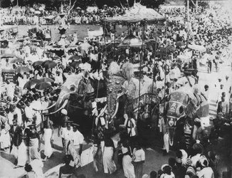 Elefante sagrado na procissão de Perahera, Kandy, Ceilão, c1890, 1910