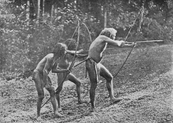 Veddahs ou Wild Men, c1890, 1910