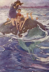 Ela escorregou do seu Grasp (cor litho)