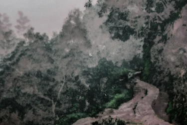 Caminho nas Levadas, 2020 (fotografia repintada à mão)