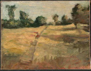 O campo
