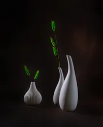 Jarras elegantes com vegetação