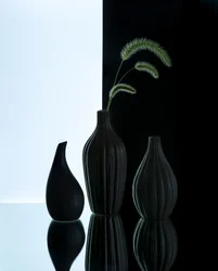 Jarras elegantes com erva