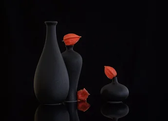 Natureza-morta com physalis laranja