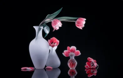 Natureza-morta com tulipas cor-de-rosa