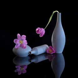 Tulipas roxas reflectidas
