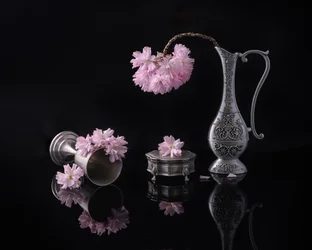 Prata e sakura