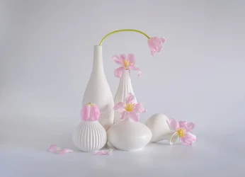 Natureza-morta com túlipas rosa-claro