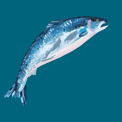 Salmão azul a saltar