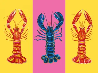 Lagosta e Lagostim Pop Art 2