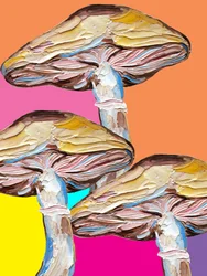 Arte Pop com Cogumelos Psicadélicos