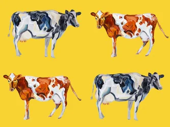 Vacas malhadas