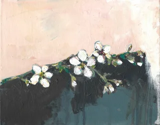 Flores de amêndoa na primavera