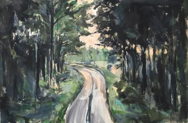 Estrada sinuosa na floresta