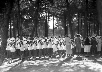 Villa Rosa Maltoni Mussolini: alunas reunidas no pinhal (foto a p/b)