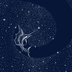 Peixe-vela celestial