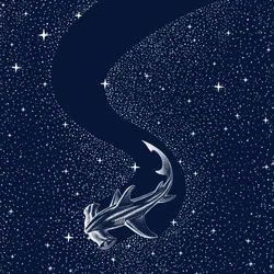 Tubarão-martelo-estrelado