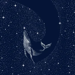 Baleia da Noite Estrelada