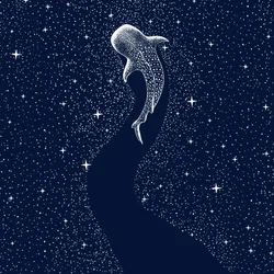 Tubarão-baleia-estrelado