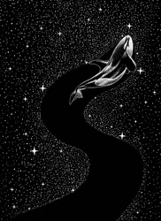 Baleia à luz das estrelas