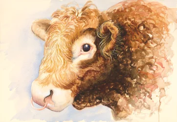 Adam o touro, 2016, aquarela