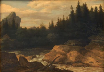 O rio na floresta de pinheiros